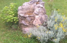 Apartment Cvjetna - Foto 58