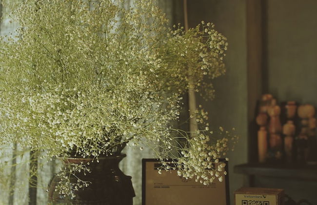 La Maison Des Delices - Foto 7