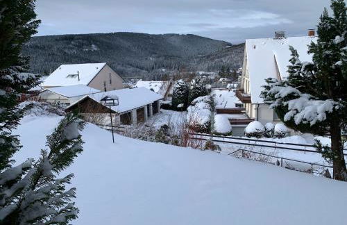 Lichtblick unter der Buche - Foto 13