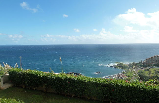 Oceanic Apartments - Photo 23