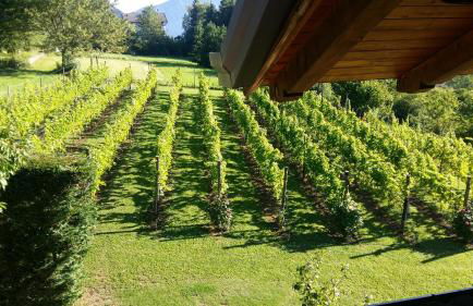 Casa Solaris - Foto 49