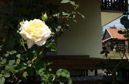 Apartman "BOGUT" - Foto 13