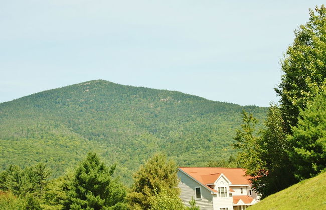 Mountain View Resort - Photo 28