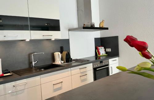 AAM Ferienwohnung 75qm Saarlouis citynah PP WiFi - Foto 11