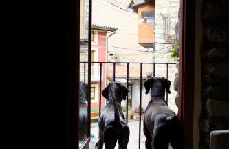 Apartament Cal Barracaire - Foto 23