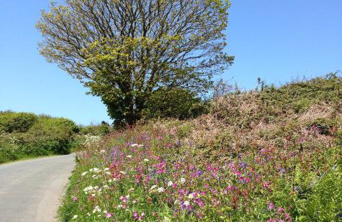 The Little Cabin - Foto 17