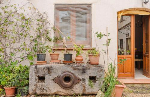 Bio Agriturismo Castelluzzo - Foto 6