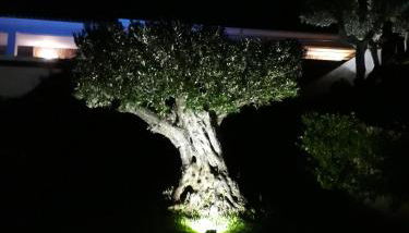 f3 vue mer et montagne - Foto 4