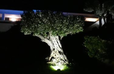 f3 vue mer et montagne - Foto 4