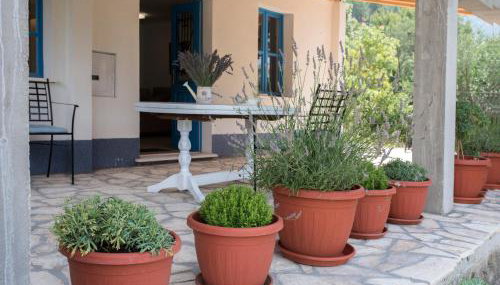 Studio apartman ROZA - Foto 5