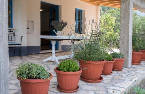 Studio apartman ROZA - Foto 5