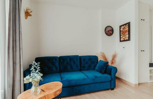 Jeleni Jar Apartamenty - Foto 62