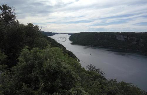 Apartment Asparagus - Photo 28