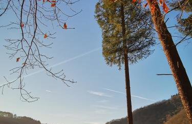 Ferienwohnung EG AusZeit - Foto 37