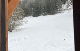 La Rose des neiges à Châtel - Foto 47