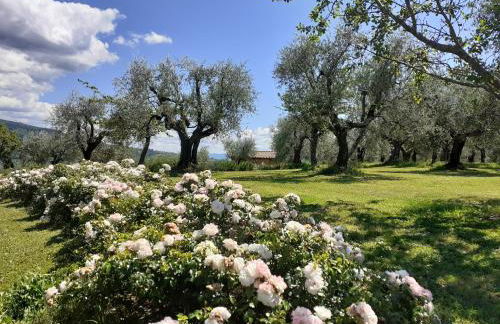 La Fornella dell'Anita - Foto 10