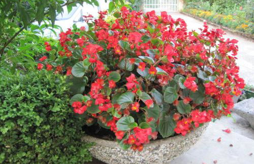 Ika Blue Studio - Photo 45