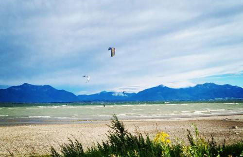 Moier-Hof LEX - Photo 25