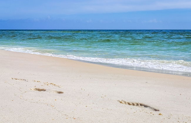 Palacio Condominiums - Foto 49