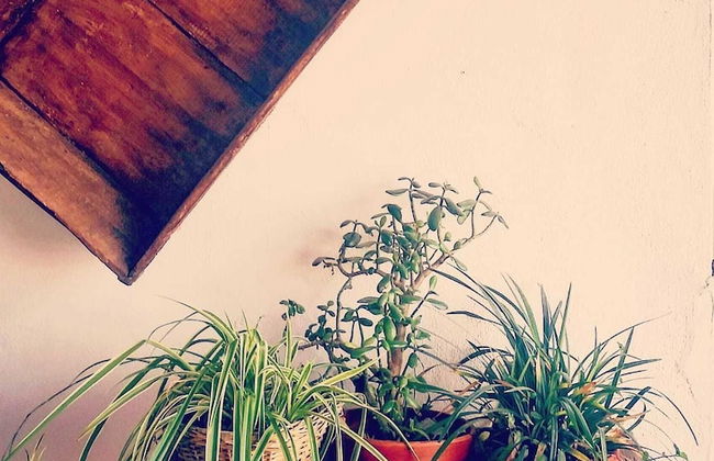 Cueva La Ermita - Photo 32