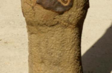 Masía La Posada del río Carbo - Photo 55