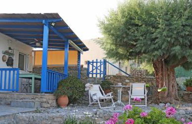 Little Blue - Photo 1