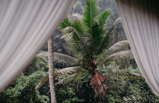 Bedulu Cliff Estate Ubud - Wood Side - Photo 78