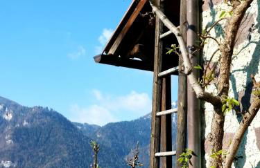 Casa Lausen - Foto 60