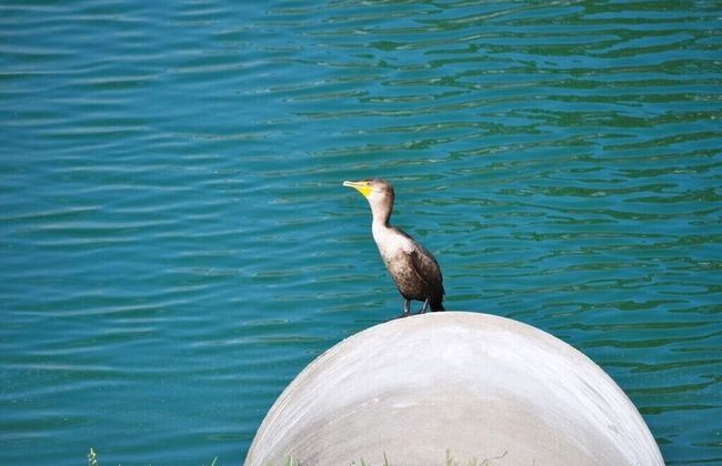 Emerald Island Resort IHR 3022 - Foto 17