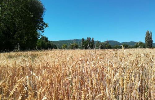 Agriturismo Il Mulino del Vescovo - Foto 17