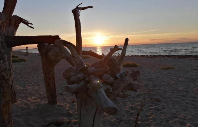 Modern Apartment in Elmenhorst Near Sea - Foto 64