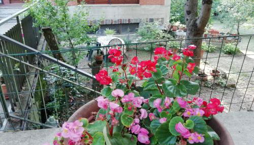 Casa Della Nonna - Foto 2, Garden