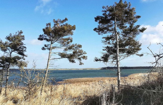 6 Person Holiday Home in Martofte - Photo 19