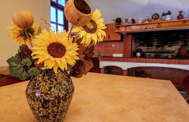 Apartment in Dalmatia With Terrace - Foto 20