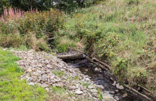 Haus am Oberen Eschenbacher Teich - Foto 22