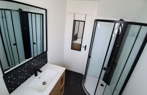 Les brumes du Mont Saint Michel - Foto 12