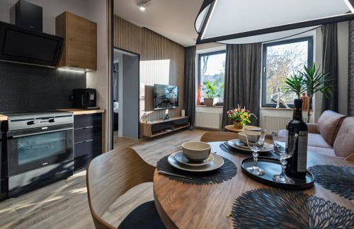 Apartamenty Częstochowa pod Jasną Górą Teresy 4-2 parking gratis - Photo 3