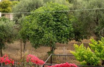 Sainis Rooms - Foto 18