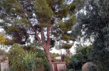 Casa Blanca - Photo 68