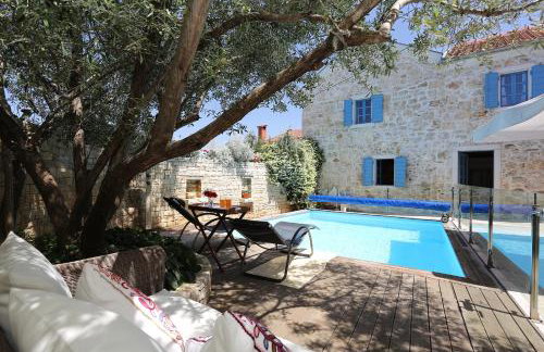 Olive's Hug - Foto 6