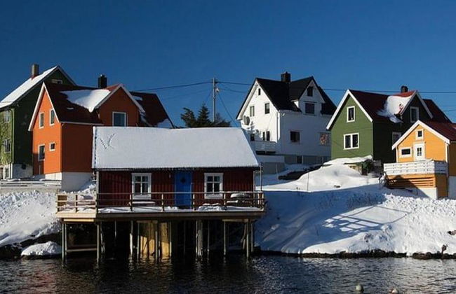 Südløfoten Winter Fototour - Ganztägige Kleingruppentour - Foto 8