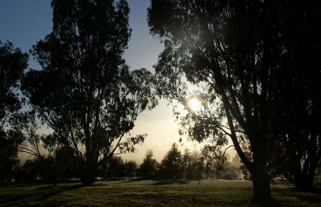 Ingenia Holidays Murray Bend - Photo 53