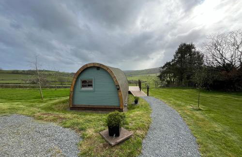 The Pod Patch - Trelerney Pod - Foto 23