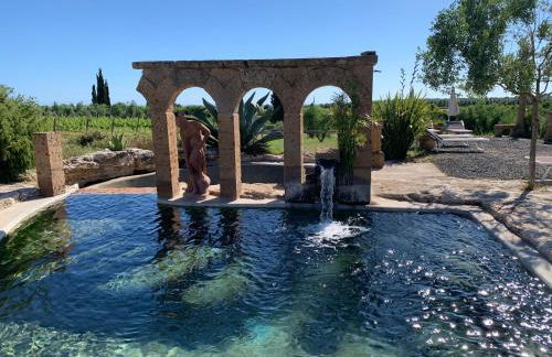 Resort Fonte Vulci - Foto 15