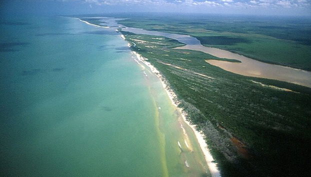Private Las Coloradas und Ria Lagartos Tour - Foto 4
