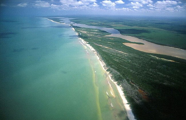 Private Las Coloradas und Ria Lagartos Tour - Foto 4