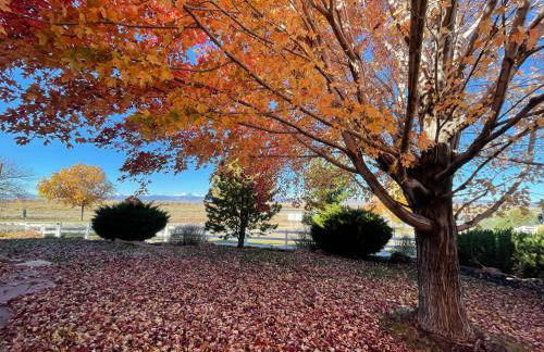 Family-friendly Home on Boyd Lake, Gorgeous Views! - Foto 95