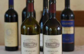 Antico Uliveto - Foto 49