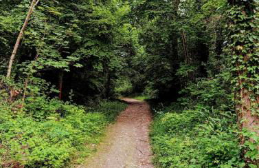 Maison des Artistes Paris Giverny - Foto 36