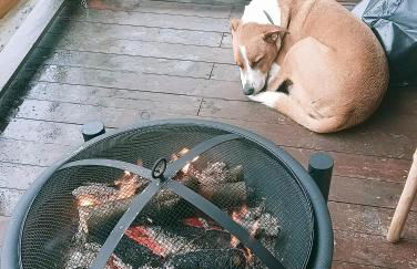 La Cabaña del Paito - Foto 13